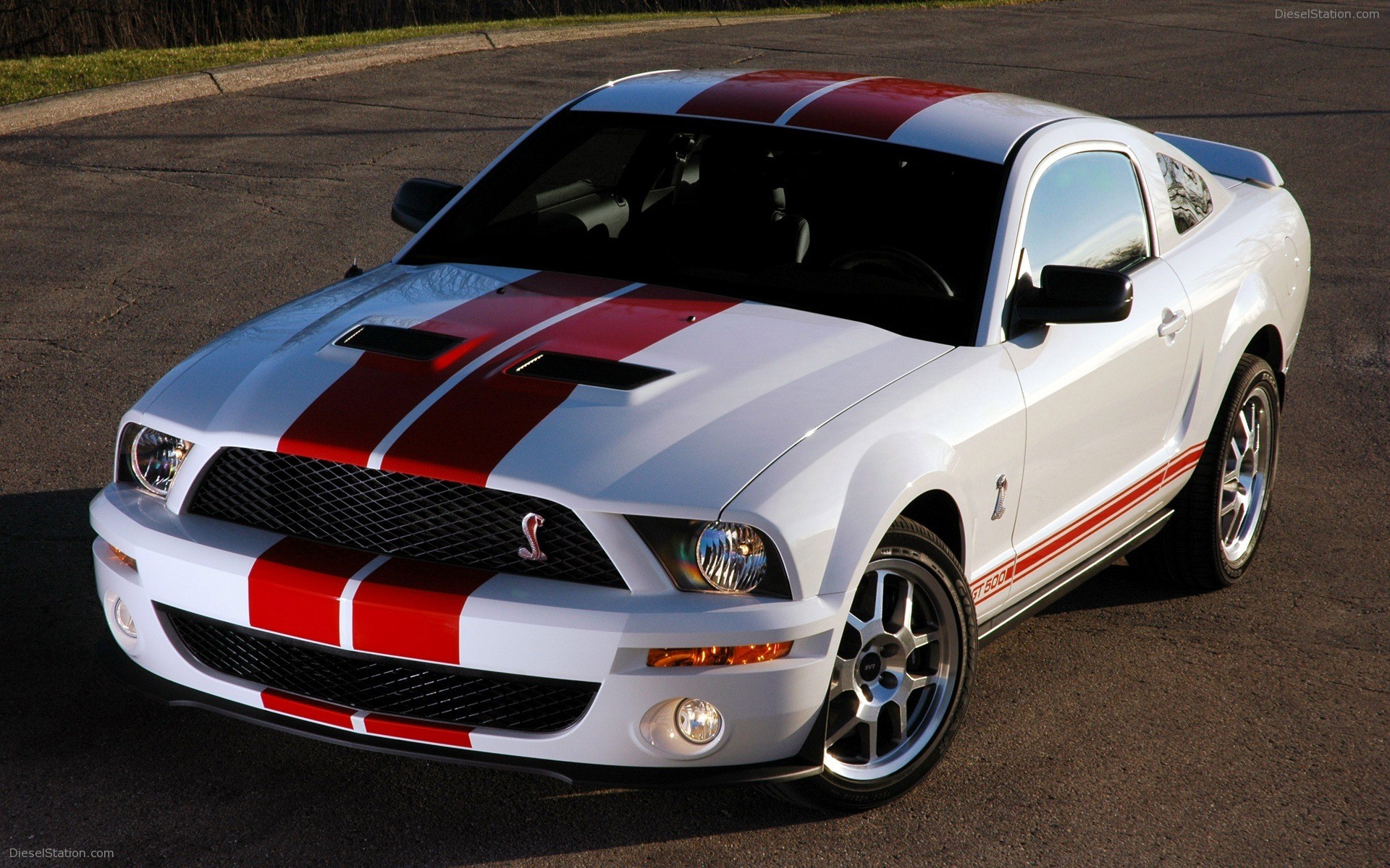 Ford Shelby 2012