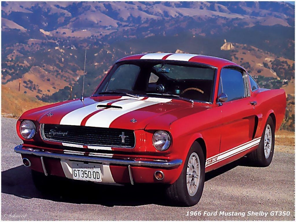 Ford Shelby 350 Gt