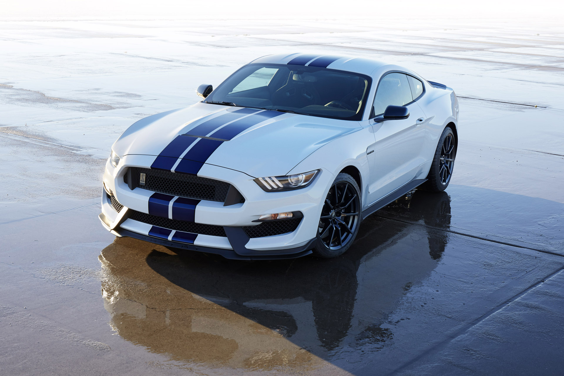 Ford Shelby 350
