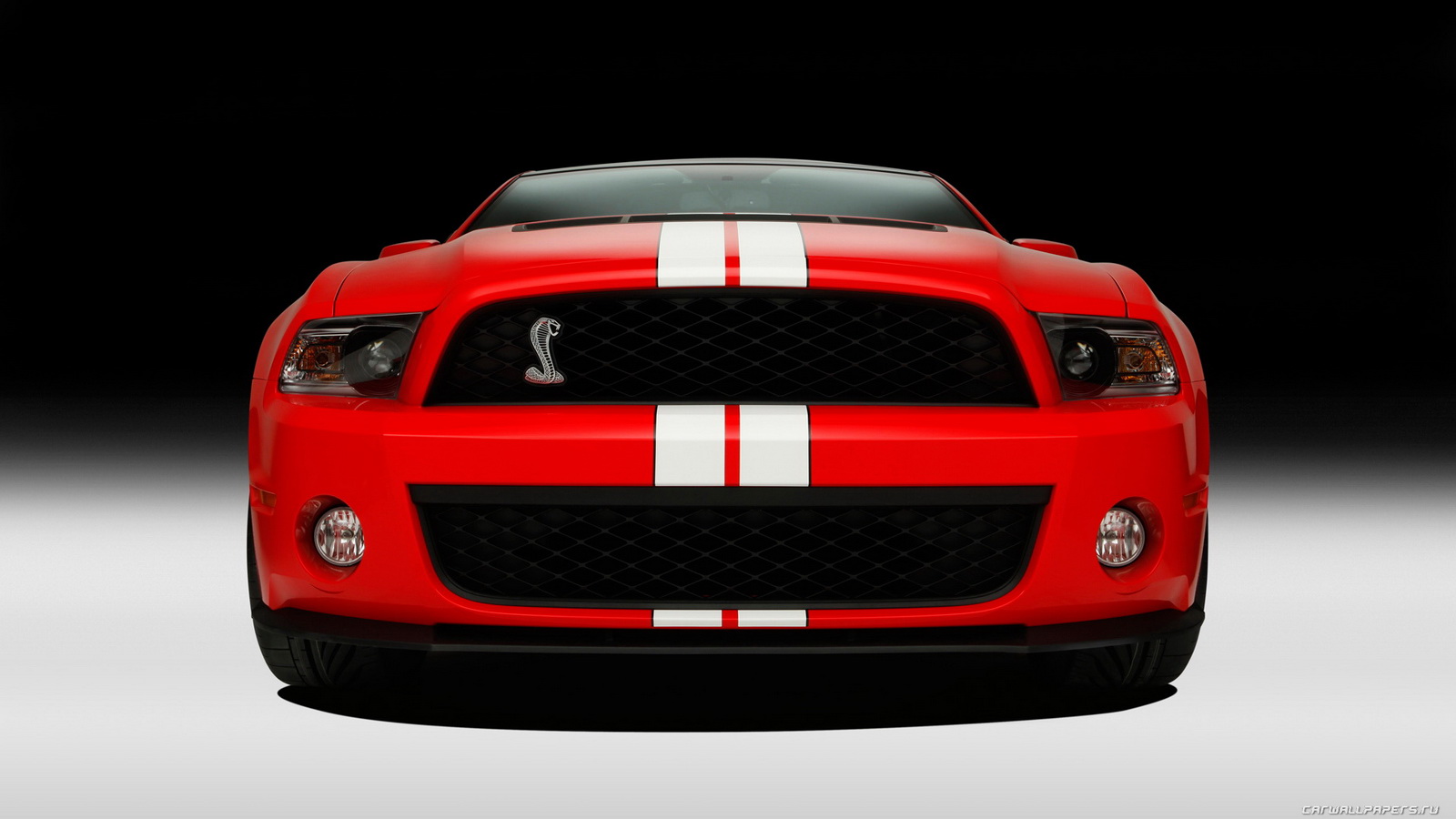 Ford Shelby 500 Gt