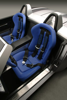 Ford Shelby Cobra Concept