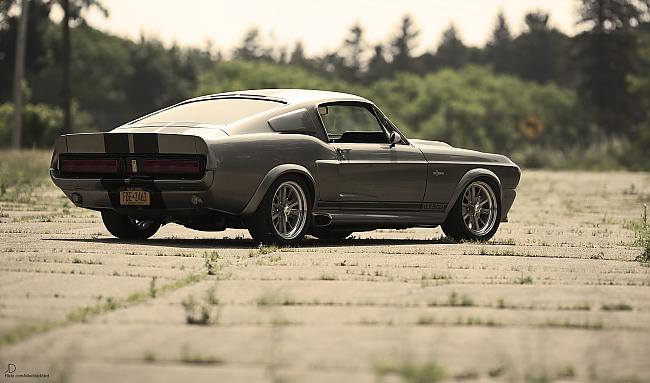 Ford Shelby Eleanor