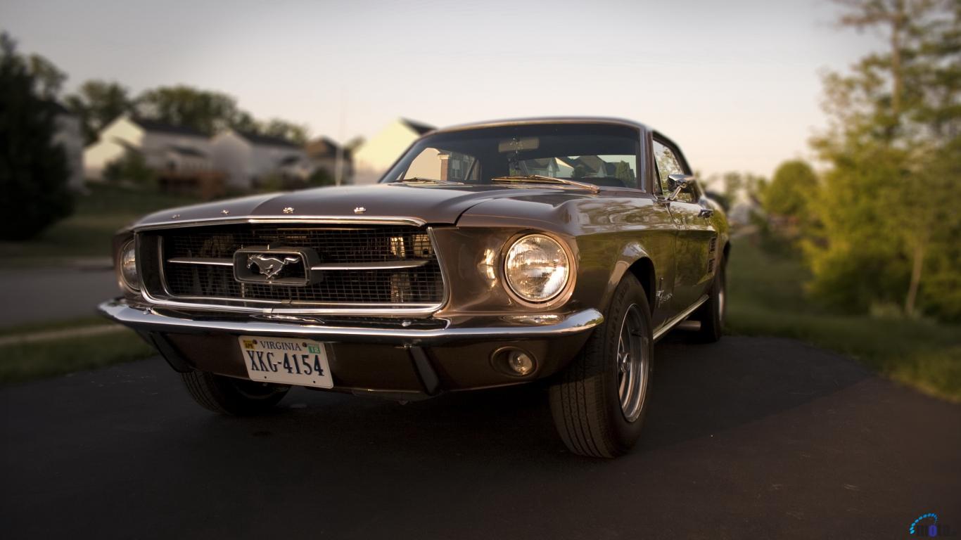 Ford Shelby Eleanor