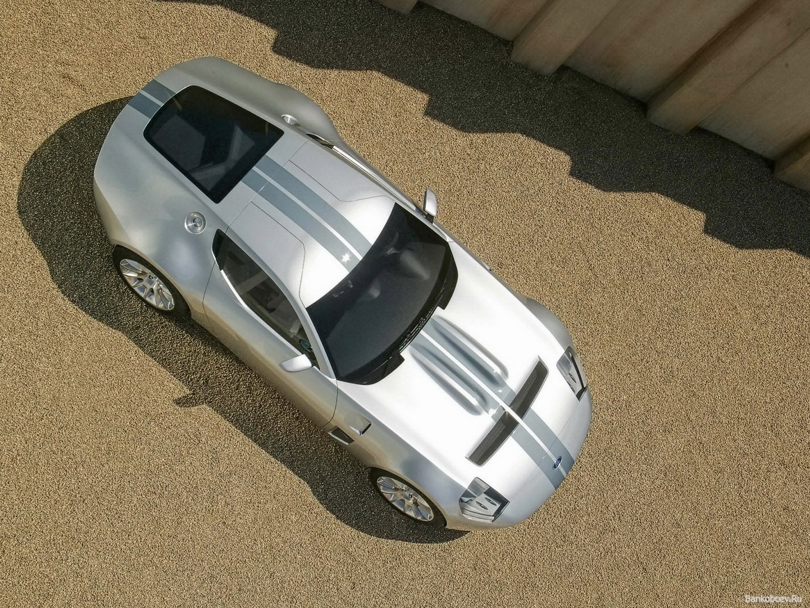 Ford Shelby Gr-1