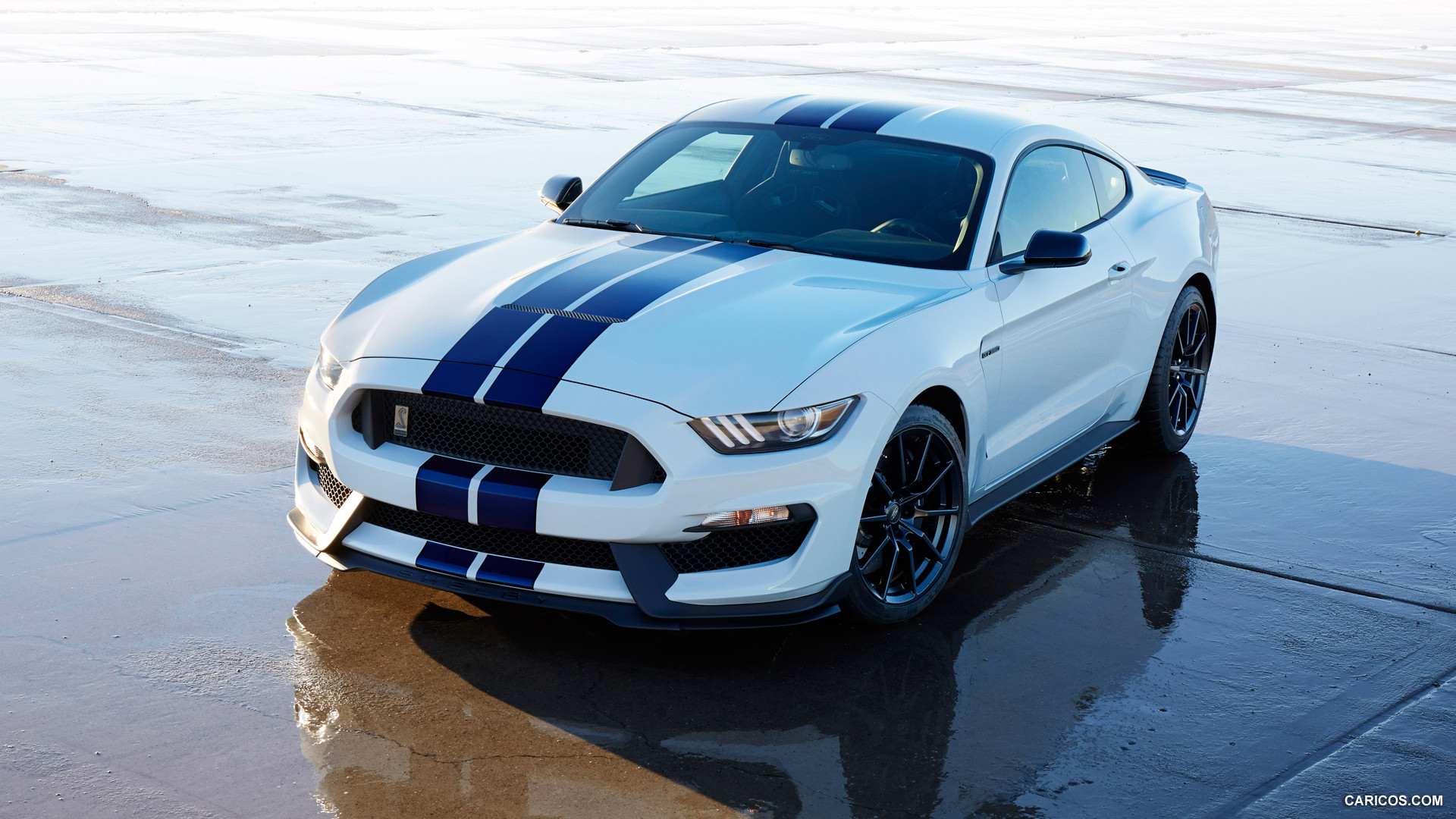 Ford Shelby Gt350r Mustang