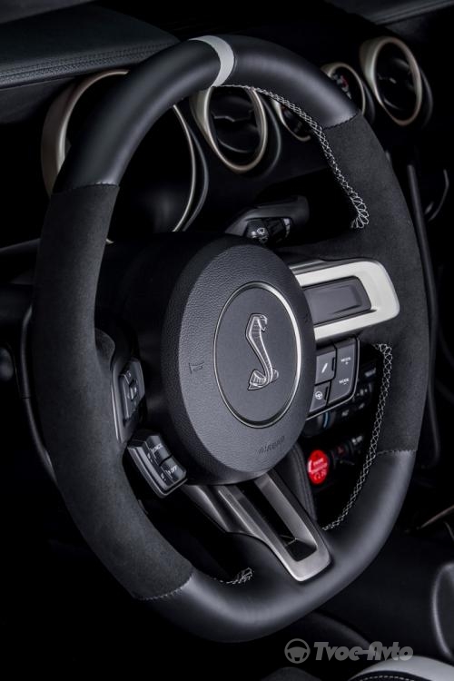 Ford Shelby Gt350r Mustang