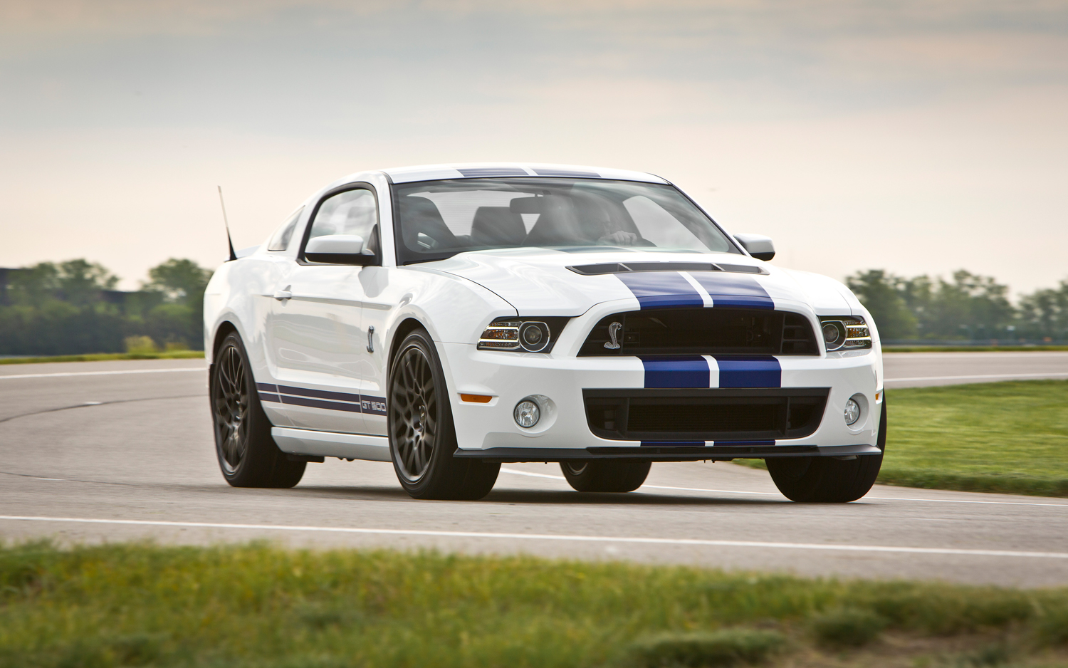 Ford Shelby Gt500 Coupe