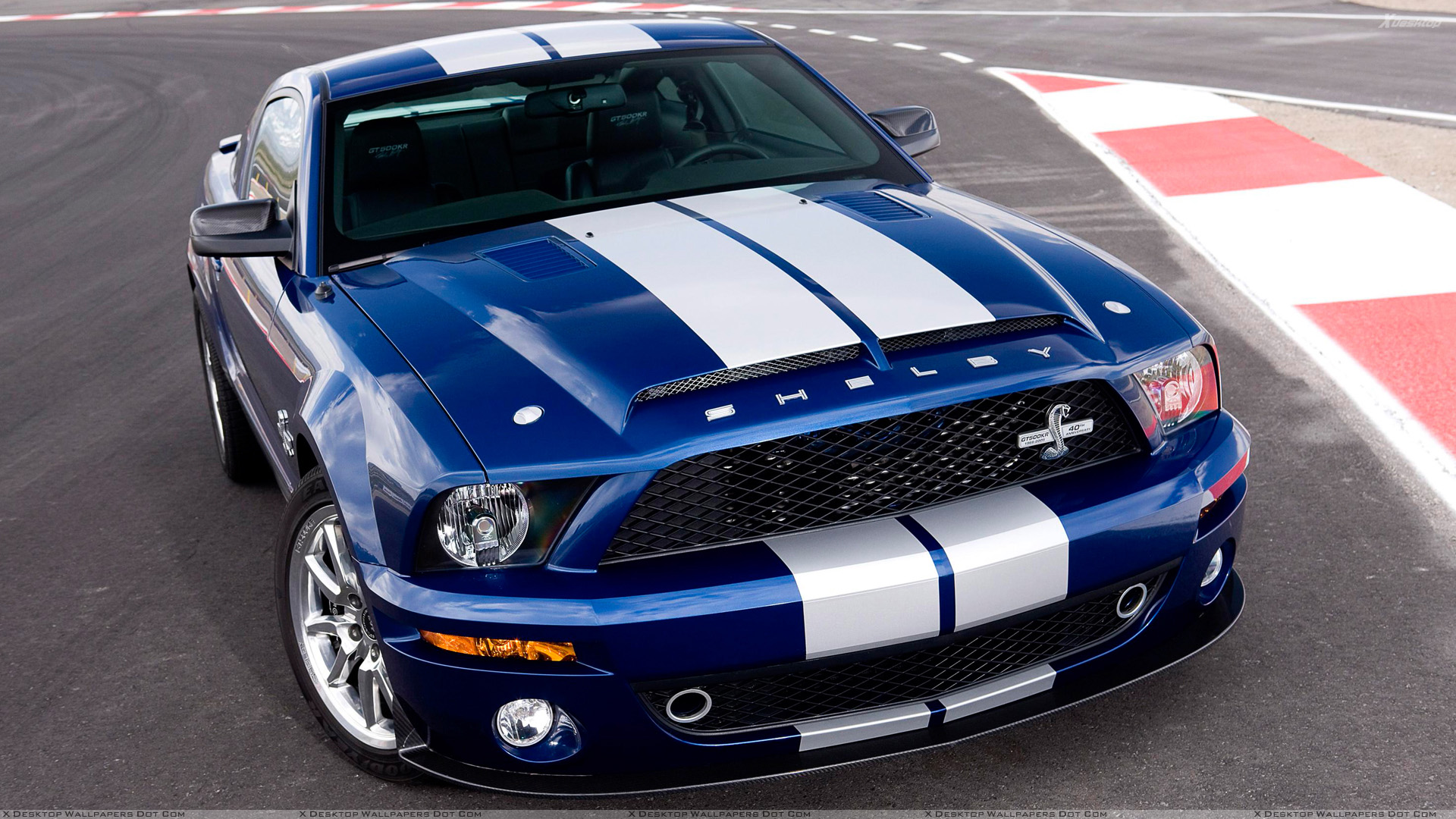 Ford Shelby Gt500 Coupe