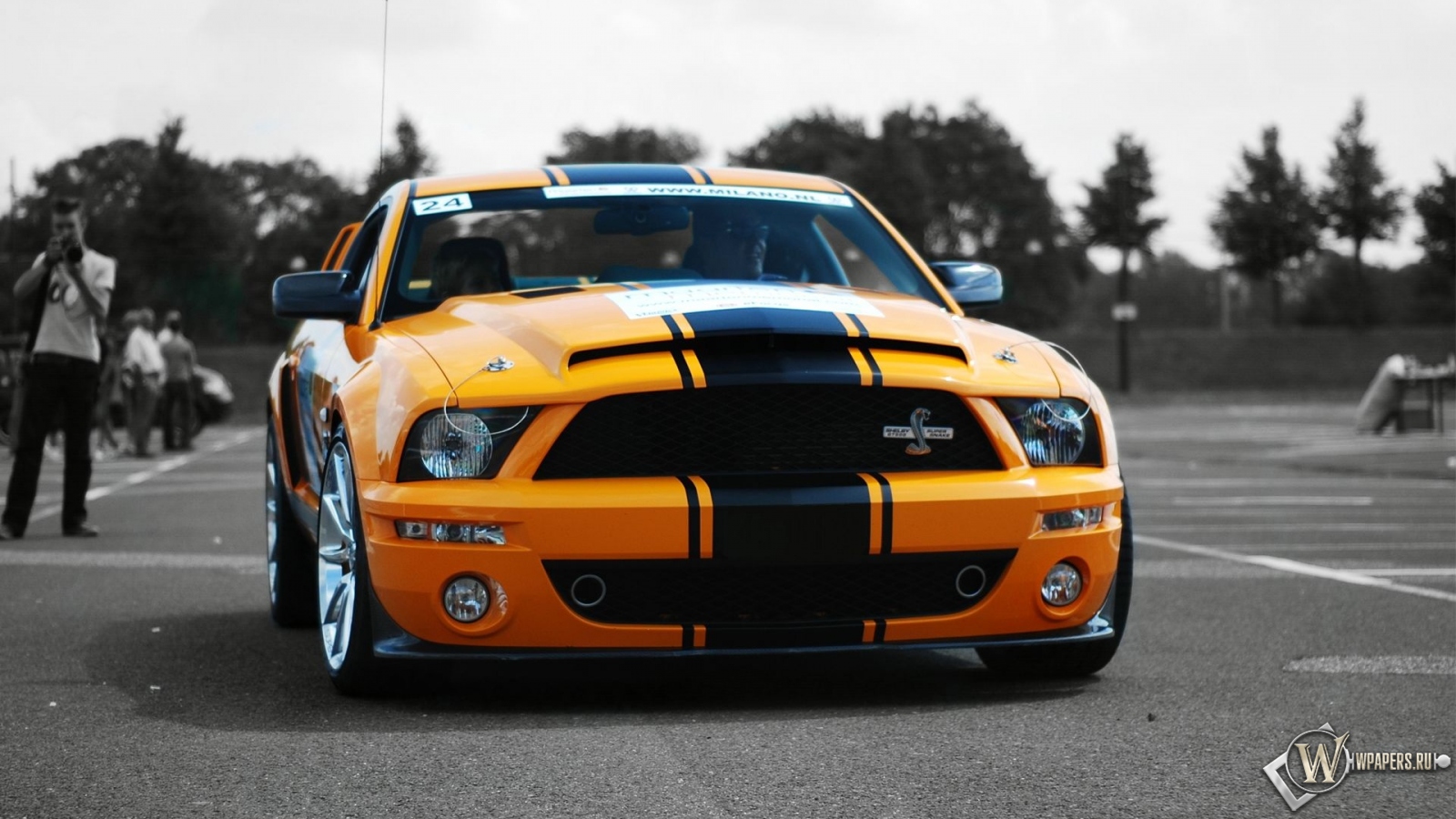 Ford Shelby Gt500 Super Snake