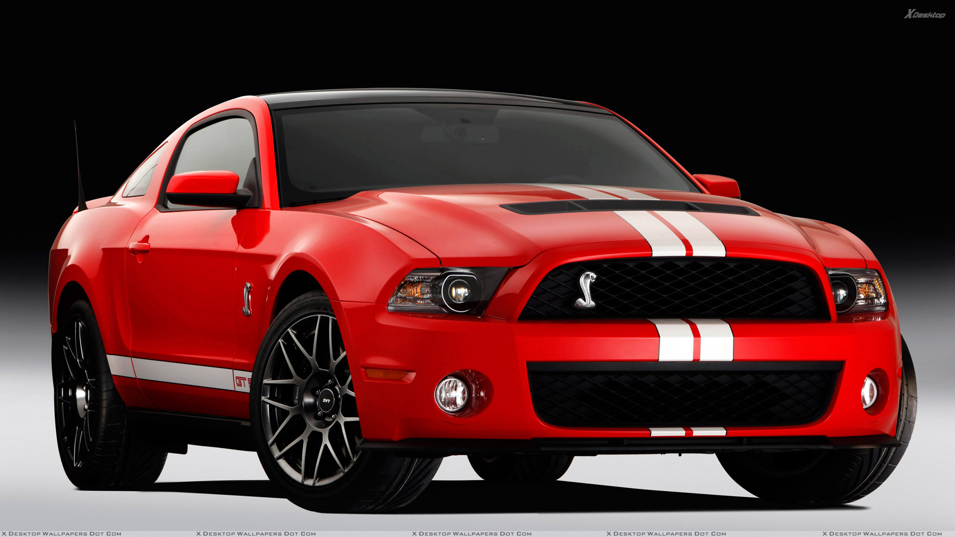 Ford Shelby Gt500 Svt