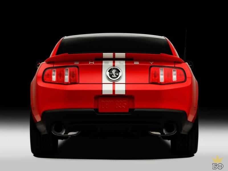 Ford Shelby Gt500 Svt