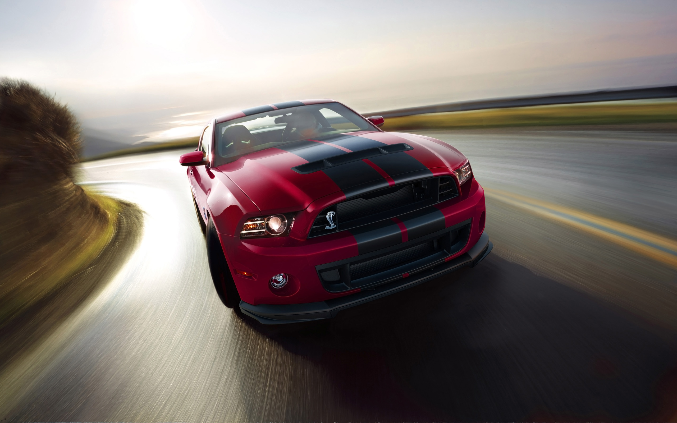 Ford Shelby Mustang 2014