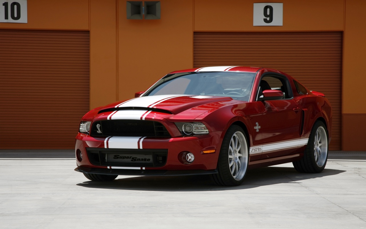 Ford Shelby Super Snake 2014 Ford Shelby Super Snake 2014
