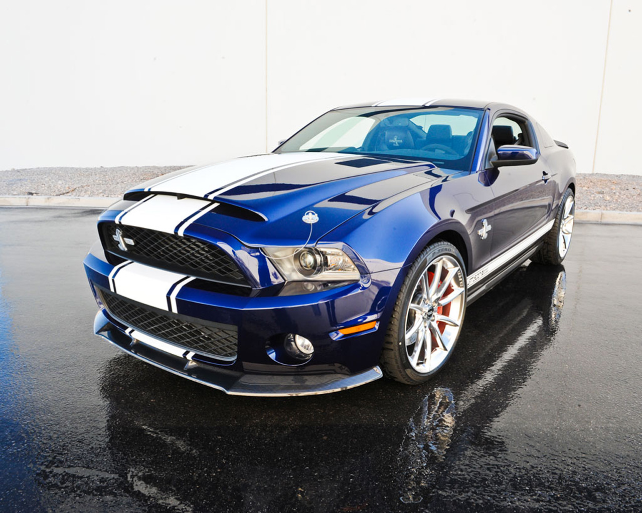 Ford Shelby Super Snake