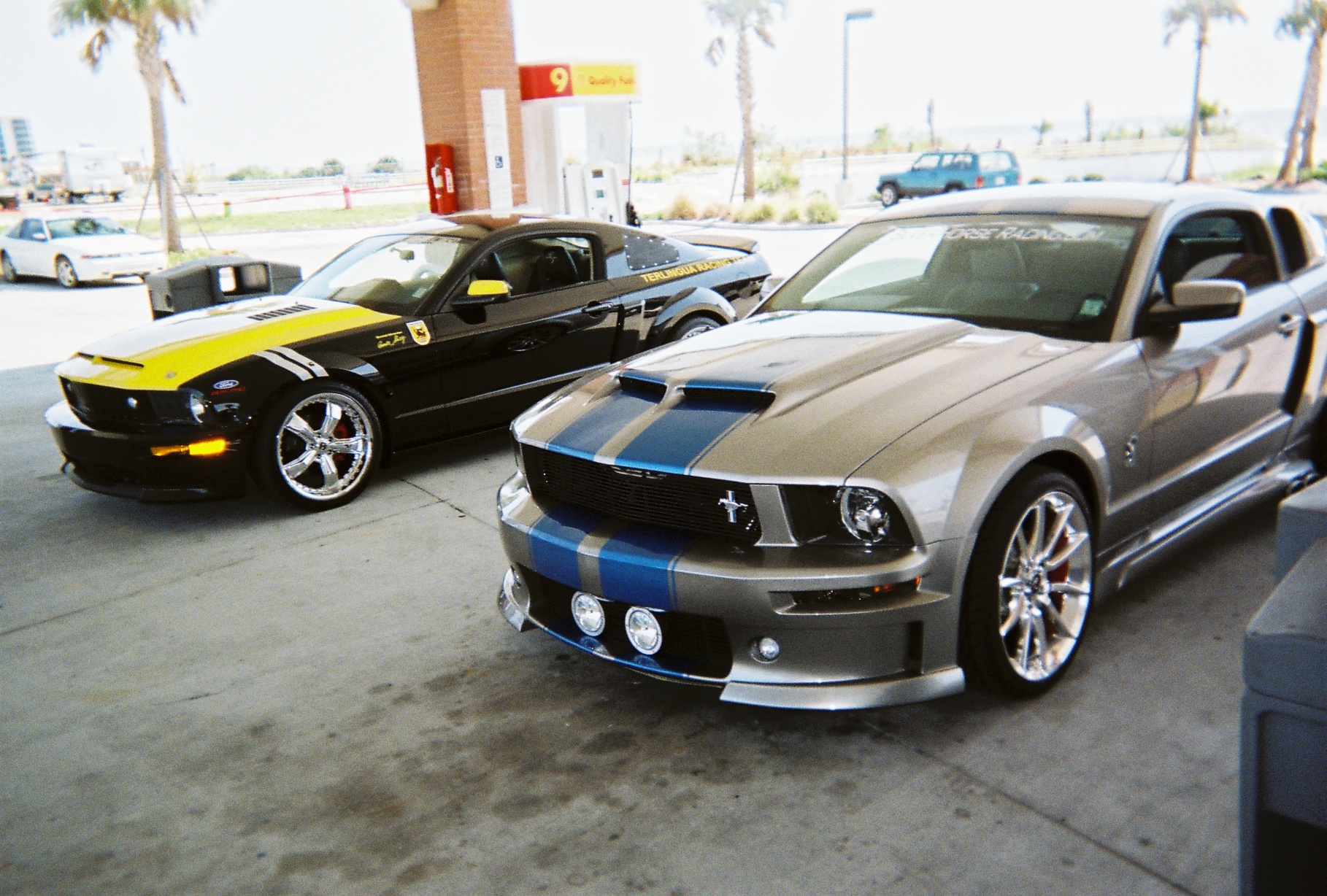 Ford Shelby Terlingua