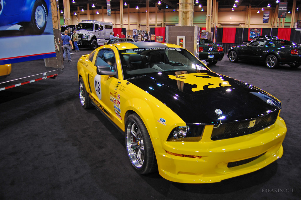 Ford Shelby Terlingua