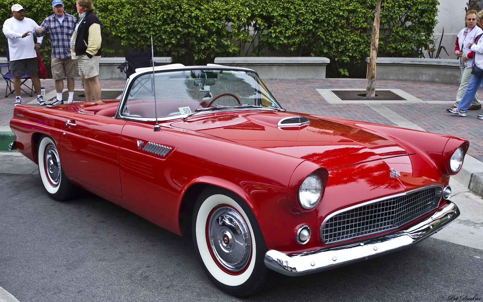 Ford Thunderbird 1955