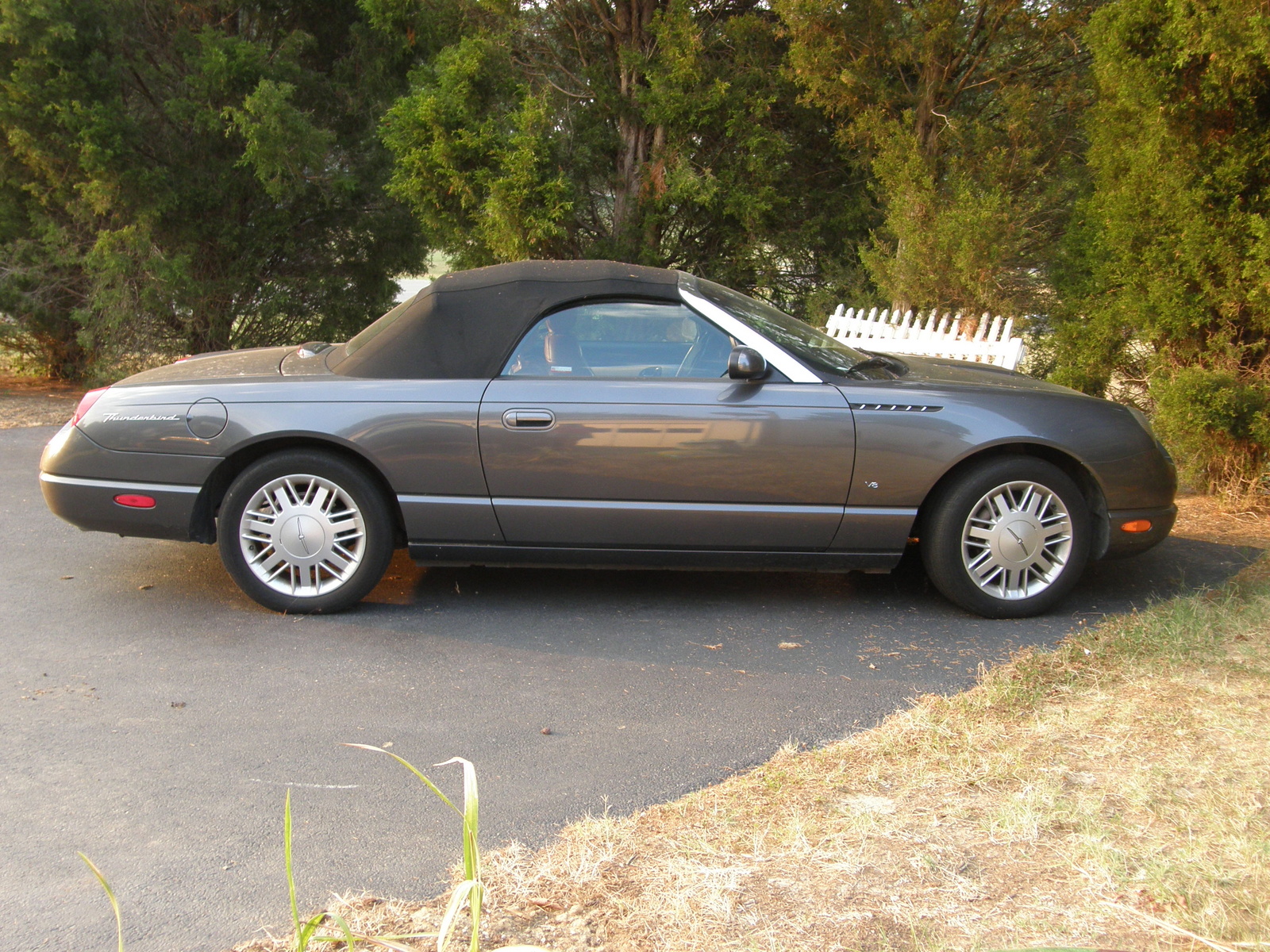 Ford Thunderbird 2003