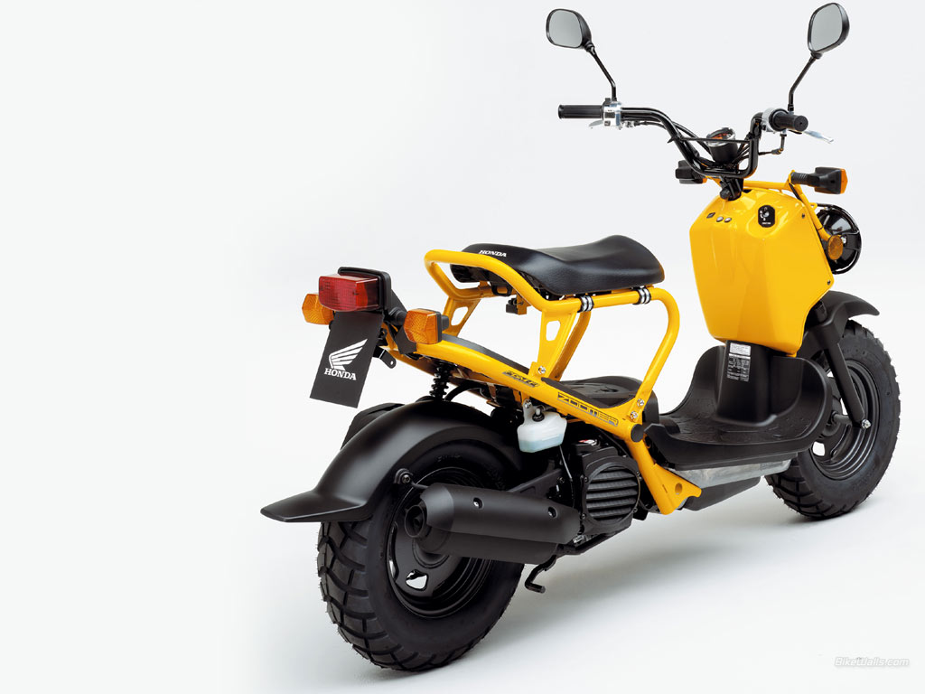 Honda 250 Ruckus