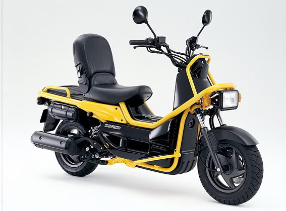 Honda 250 Ruckus