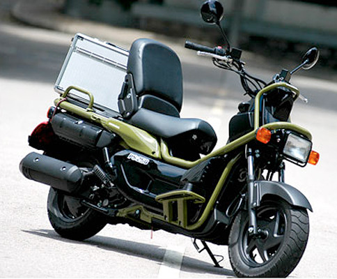 Honda 250 Ruckus