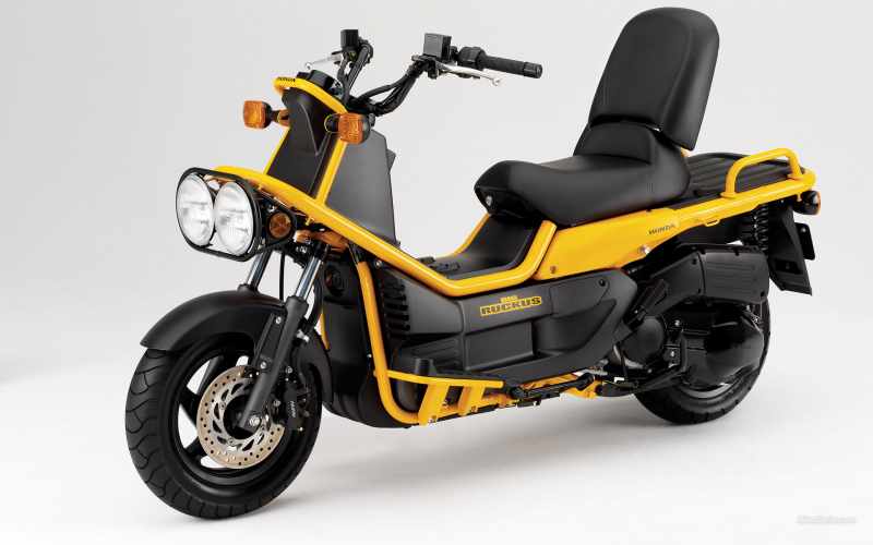 Honda 250 Ruckus