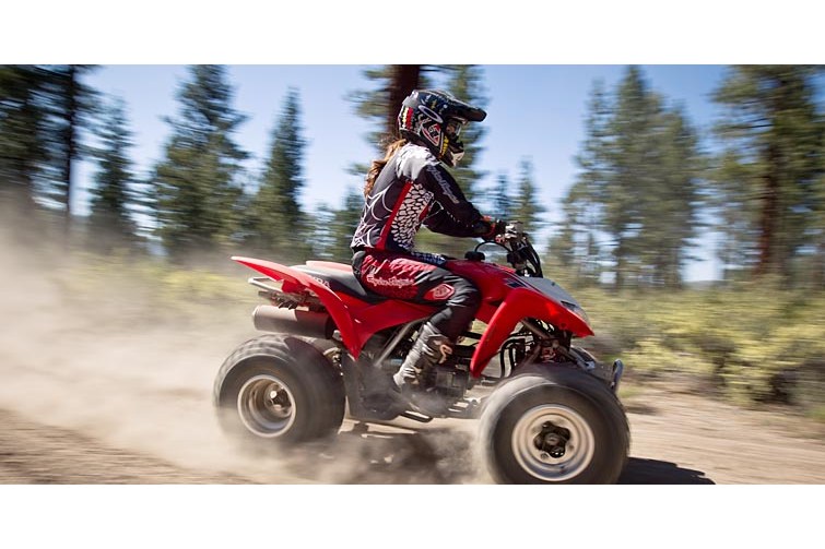 Honda 250 Trx