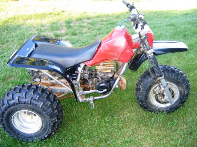 Honda 250r 3 Wheeler