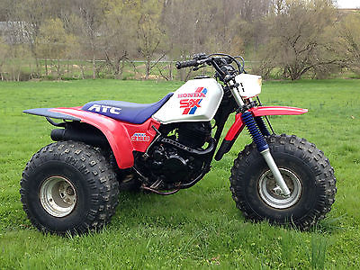 Honda 250sx 3 Wheeler