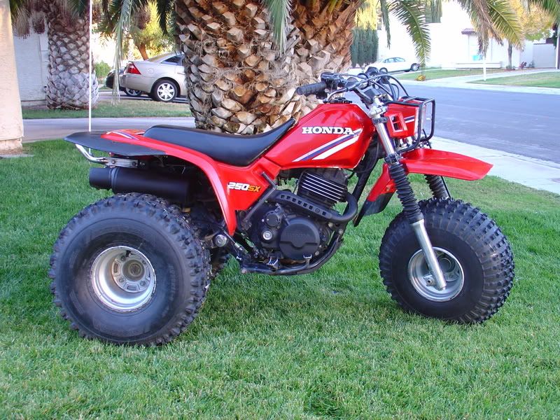Honda 250sx Honda 250sx