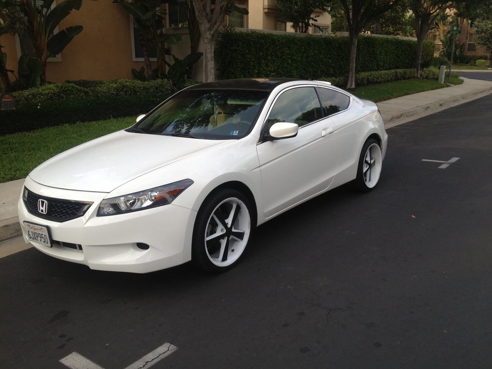 Honda Accord Coupe 2010
