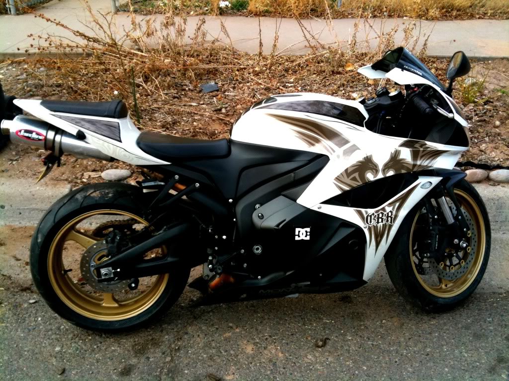 Honda Cbr600rr Phoenix Edition
