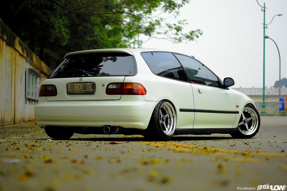Honda Civic Estilo
