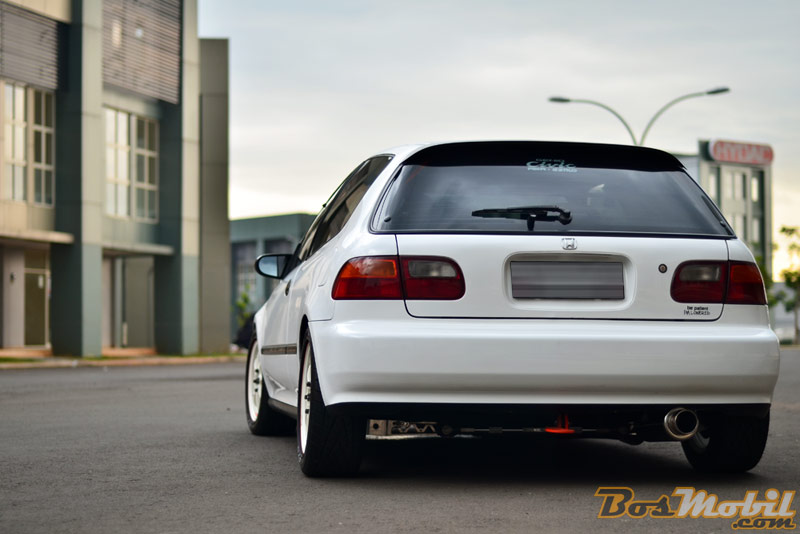 Honda Civic Lama