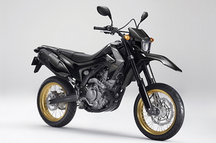 Honda Crf Dual Sport