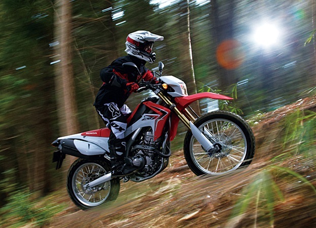 Honda Crf Dual Sport