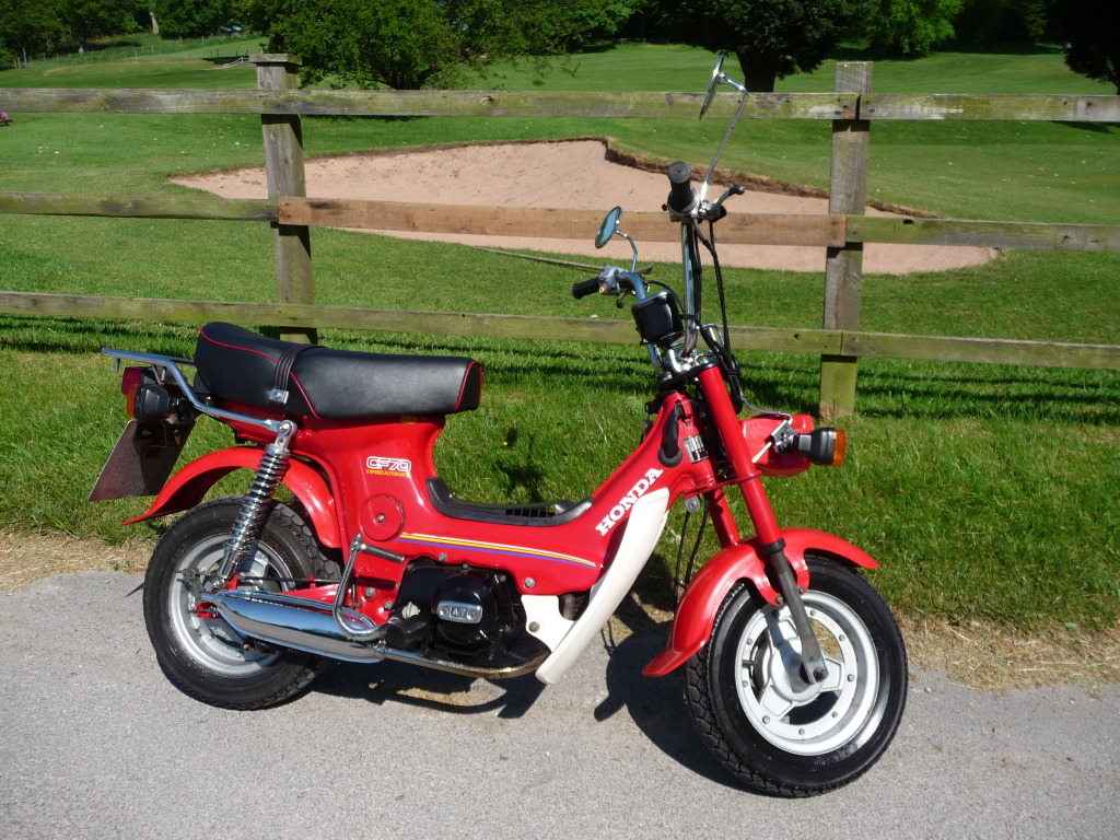 Honda Dax Clone