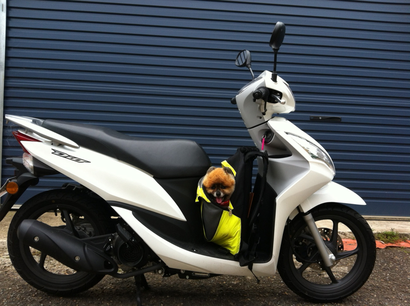 Honda Dio 110