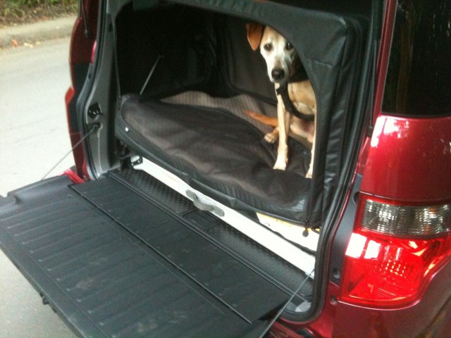 Honda Element Dog Package