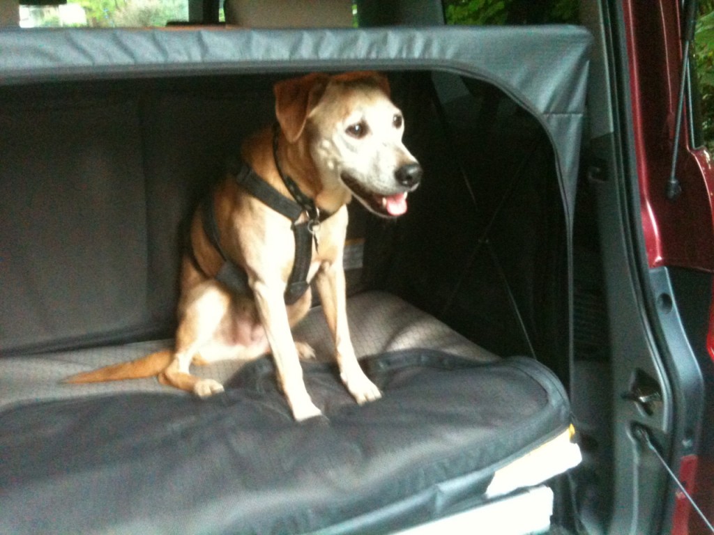 Honda Element Dog Package