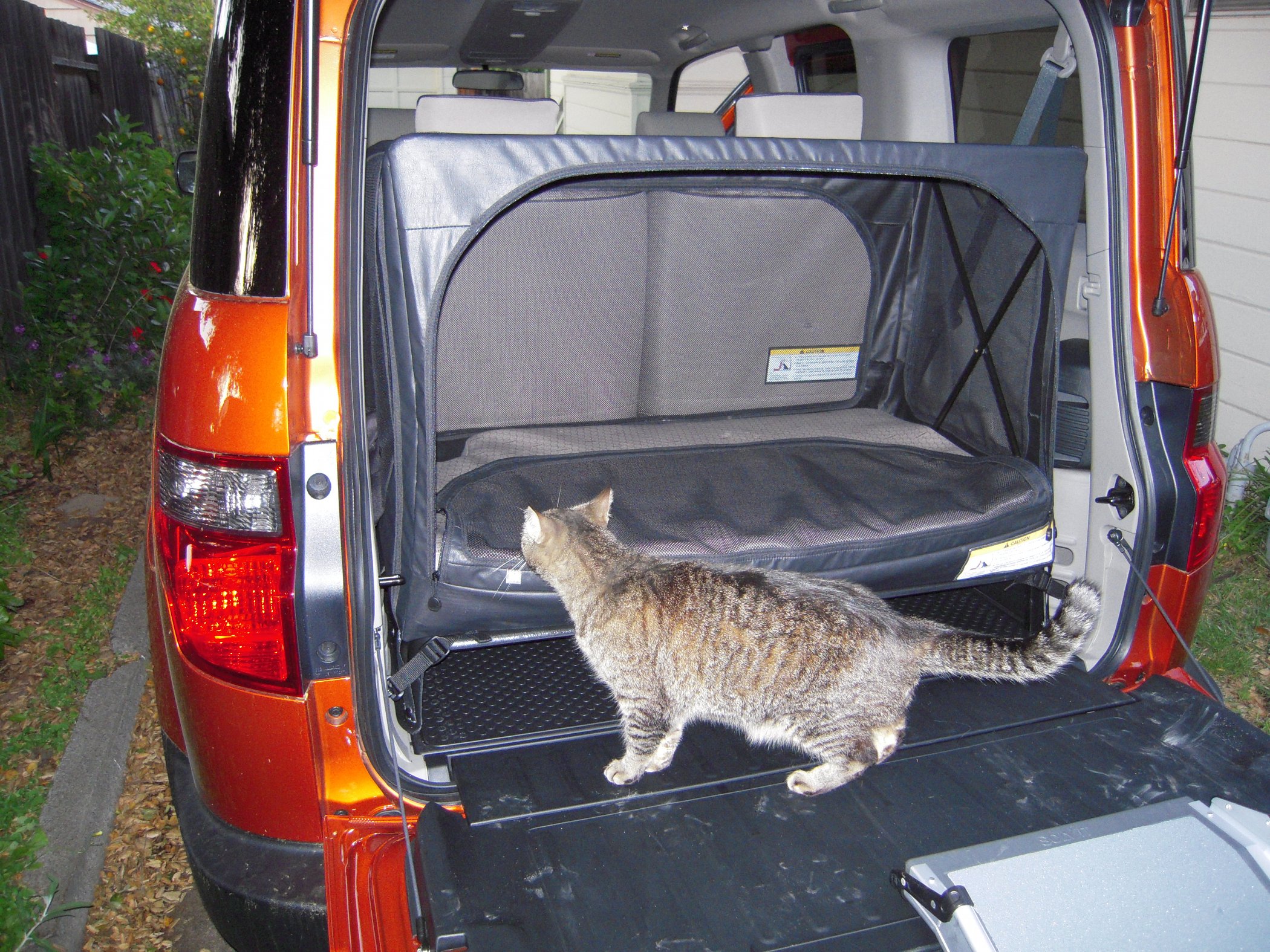 Honda Element Tent