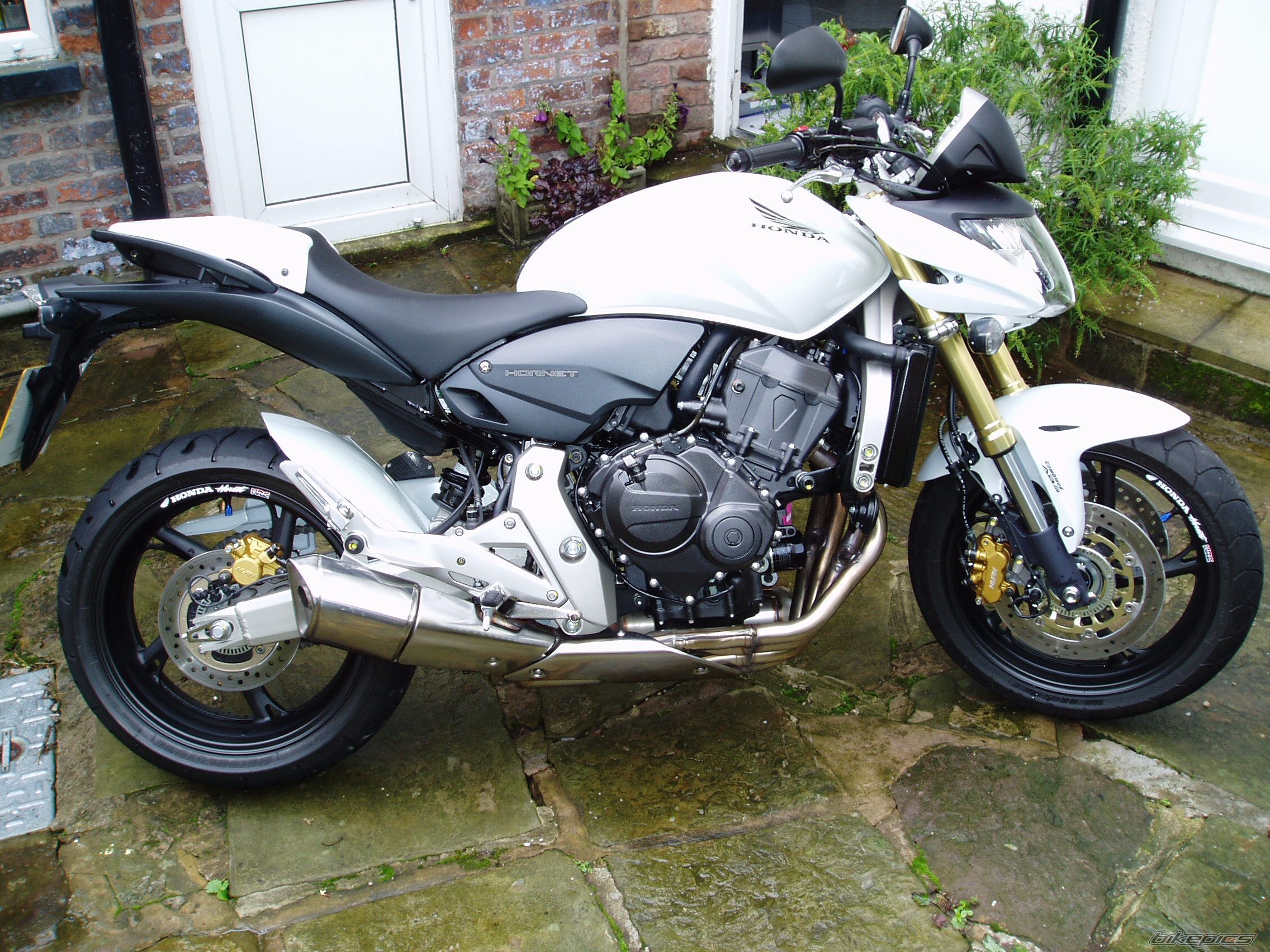 Honda Hornet 600 2008