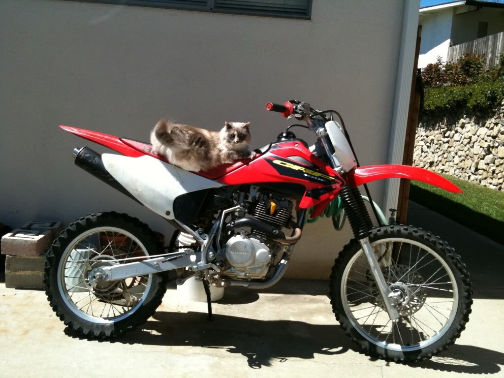 Honda Crf150f