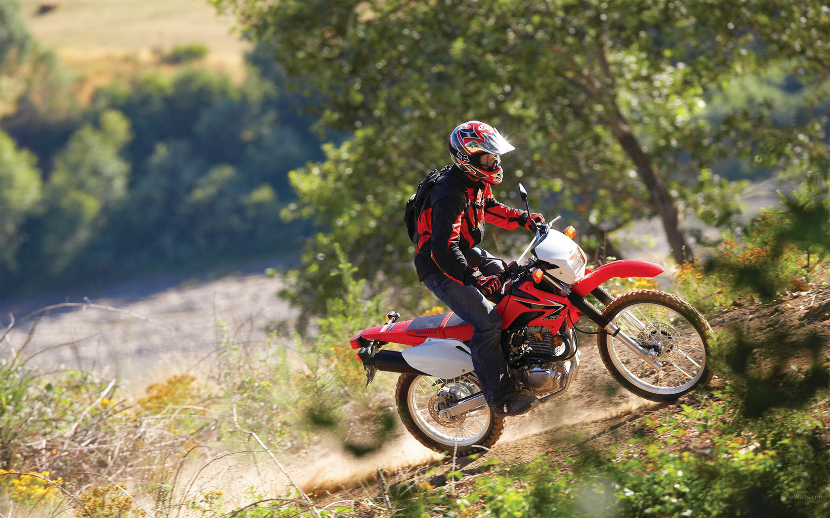 Honda Crf230l
