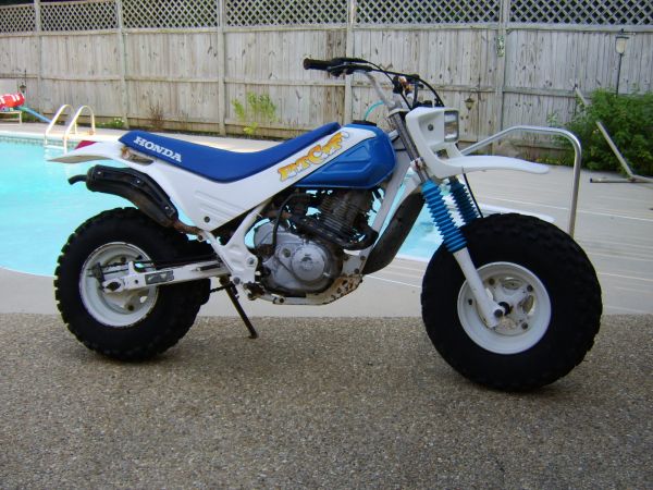 Honda fat