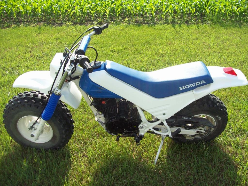 Honda fat