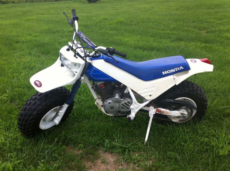 Honda fat