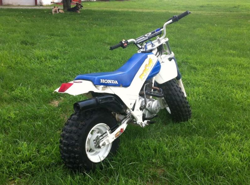 Honda fat