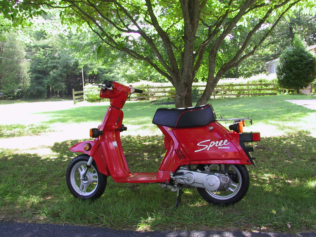 Honda Spree Honda Spree