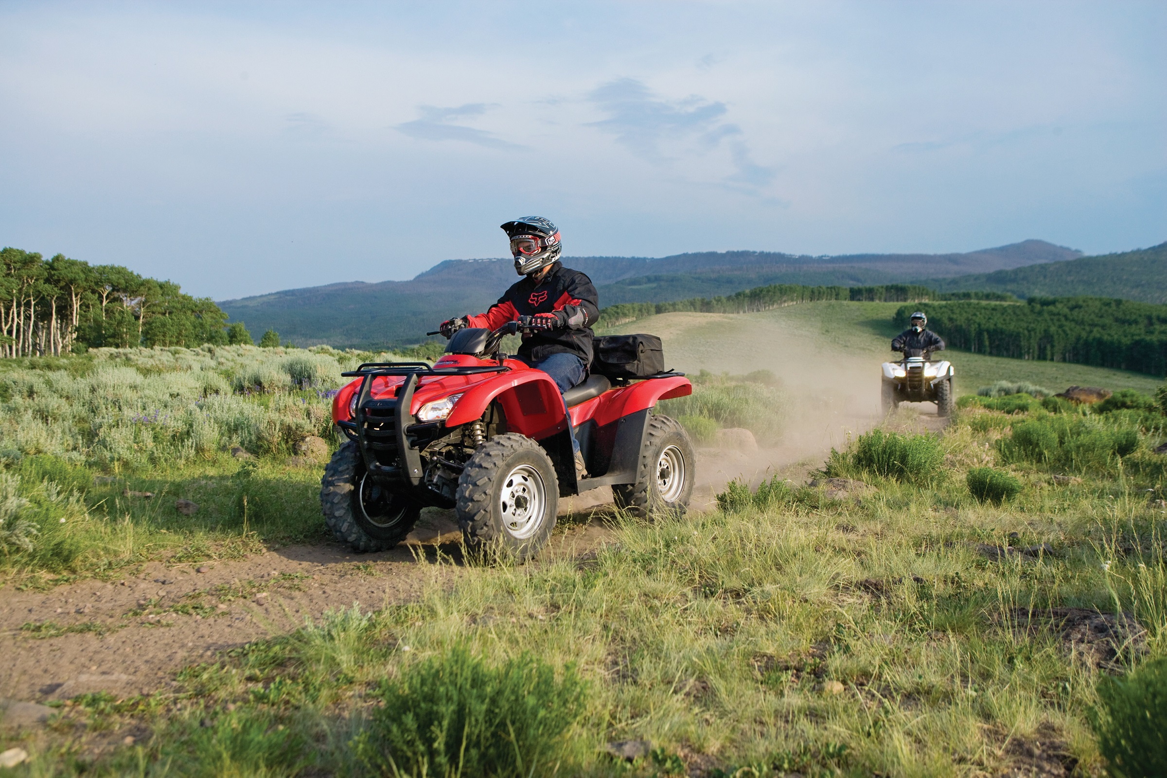 Honda trx420fa